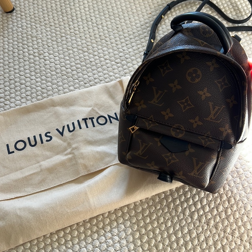 Louis Vuitton mini palm Springs backpack
